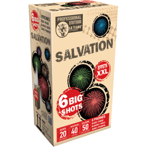 P154422 - Compact SALVATION – 6 Big Shots Pivoines Multicolores