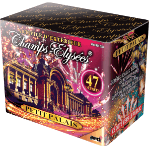 15259 - COMPACT LE PETIT PALAIS