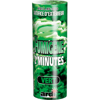 33046 - POTS FUMIGÈNE 2MN VERT