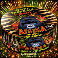 22323 - COMPACT TEMPÊTE TROPICALE