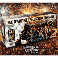 22359LPF - FEU D'ARTIFICE PORTABLE SILENCIEUX 2MN