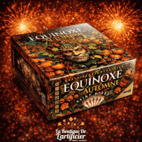 22132 - COMPACT EQUINOXE AUTOMNE