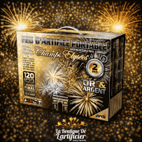 22517LPF - CHAMPS-ÉLYSÉES OR ET ARGENT 2MN