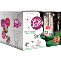 P154836 - With Love – Artifice en Forme de Cœur Étincelles Multicolores F2