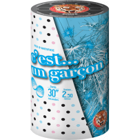 P167304 - Baby Shower Bleu – Fontaine de Révélation Sexe Bébé Garçon F2