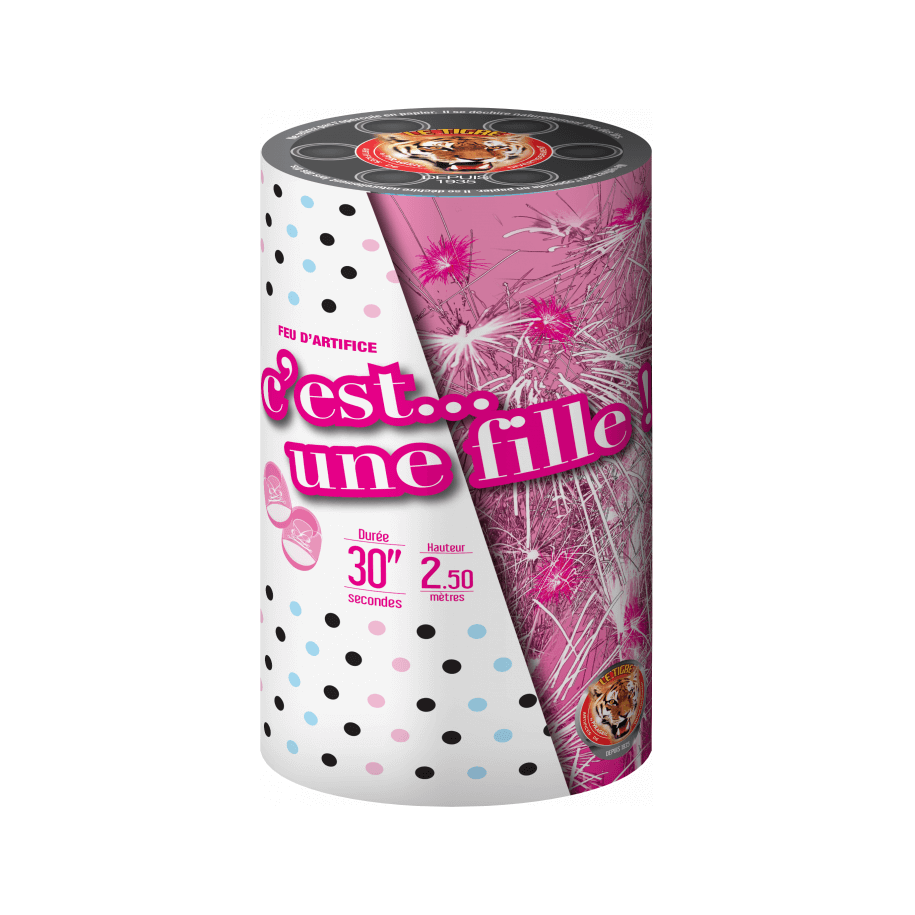 P167305 - Baby Shower Rose – Fontaine de Révélation Sexe Bébé Fille F2